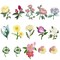15pcs Mini Flowers Iron On Patches, 13 Patterns Decorative Embroidered Patches, Sew On/Iron On Patch Applique for Jeans, Clothing, Hat, Jacket, Mini Flowers